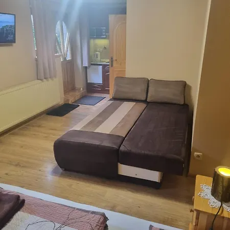 Wynajem U Andzi 3* Закопане