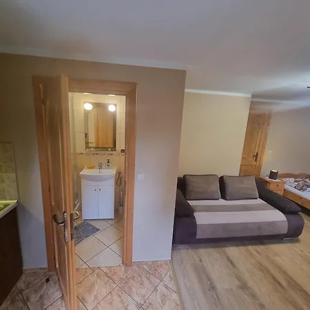 Wynajem U Andzi 3* Закопане