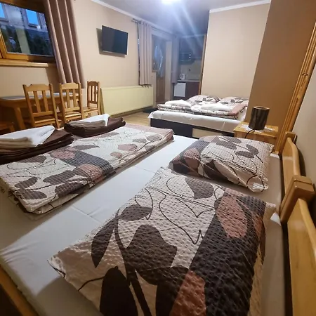 Wynajem U Andzi Закопане